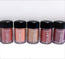 L'OREAL "INFALLIBLE MAGIC LIP PIGMENTS"